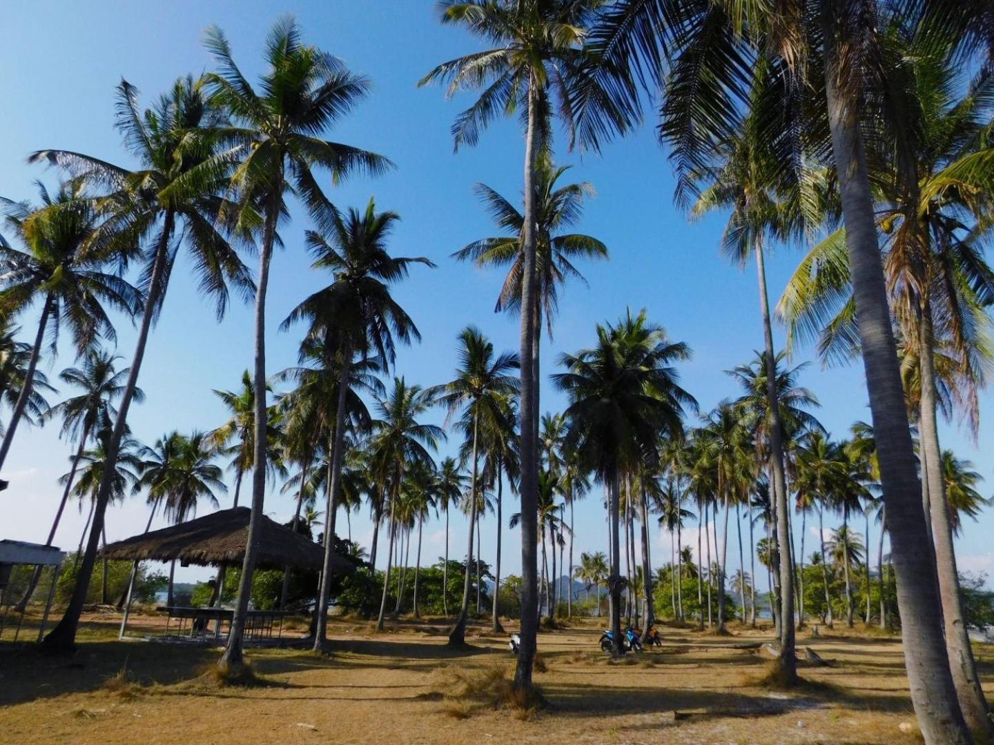 Swiss Bonihouse Koh Yao Yai Hotel Banprunaj Kültér fotó