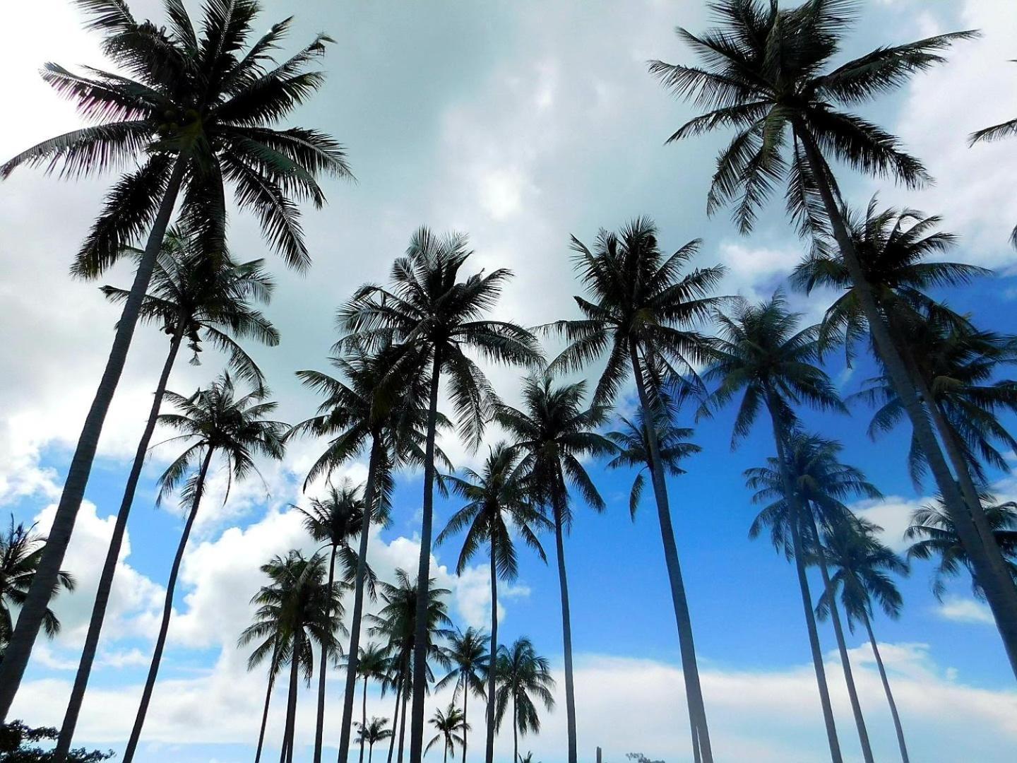 Swiss Bonihouse Koh Yao Yai Hotel Banprunaj Kültér fotó