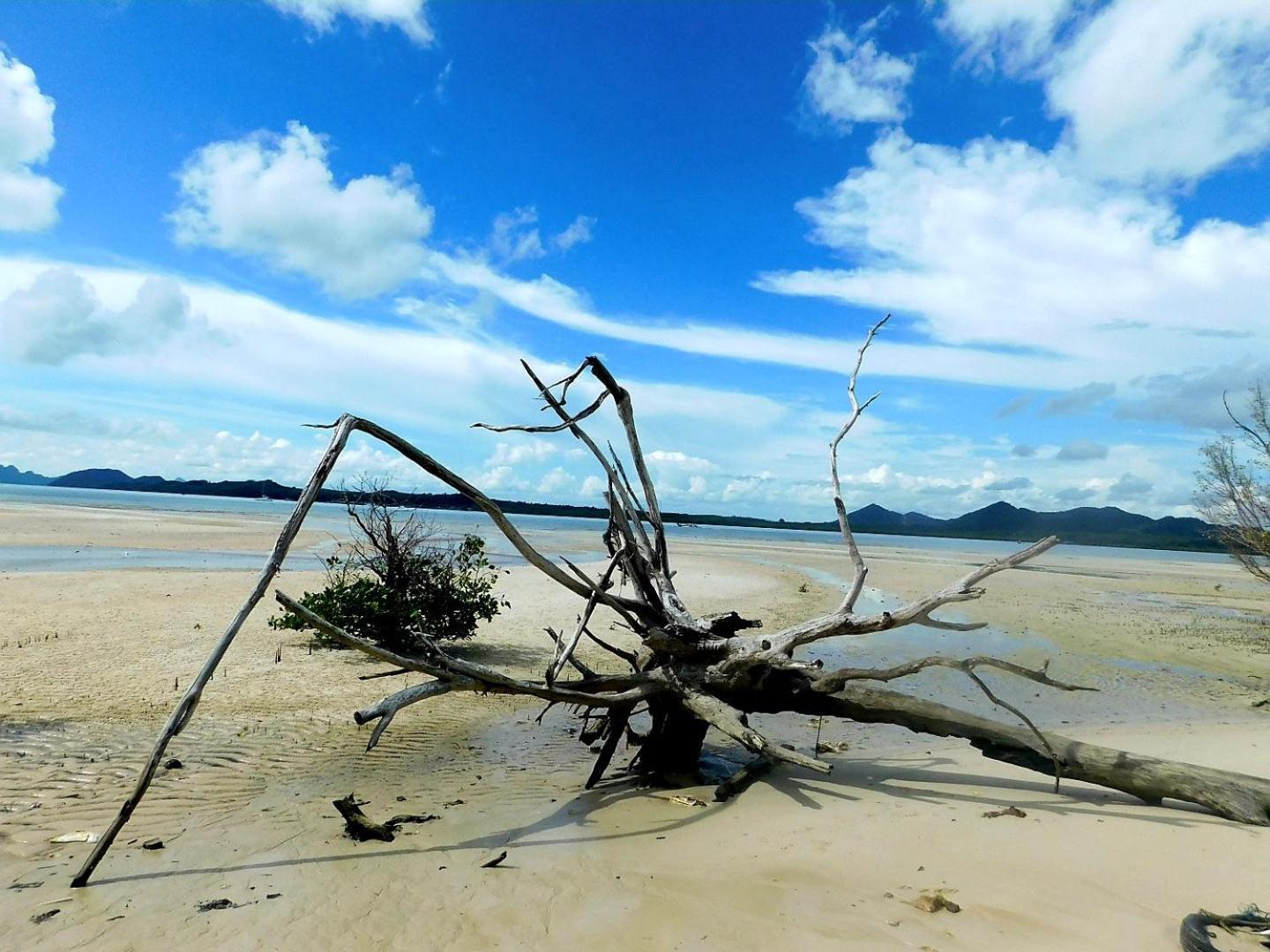 Swiss Bonihouse Koh Yao Yai Hotel Banprunaj Kültér fotó