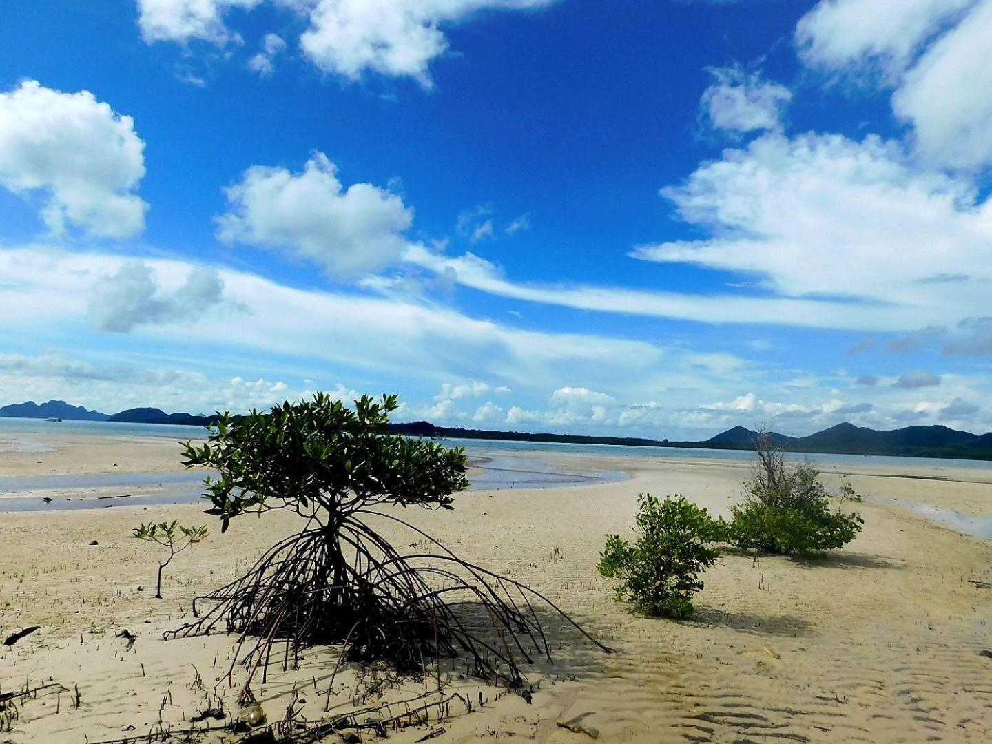 Swiss Bonihouse Koh Yao Yai Hotel Banprunaj Kültér fotó