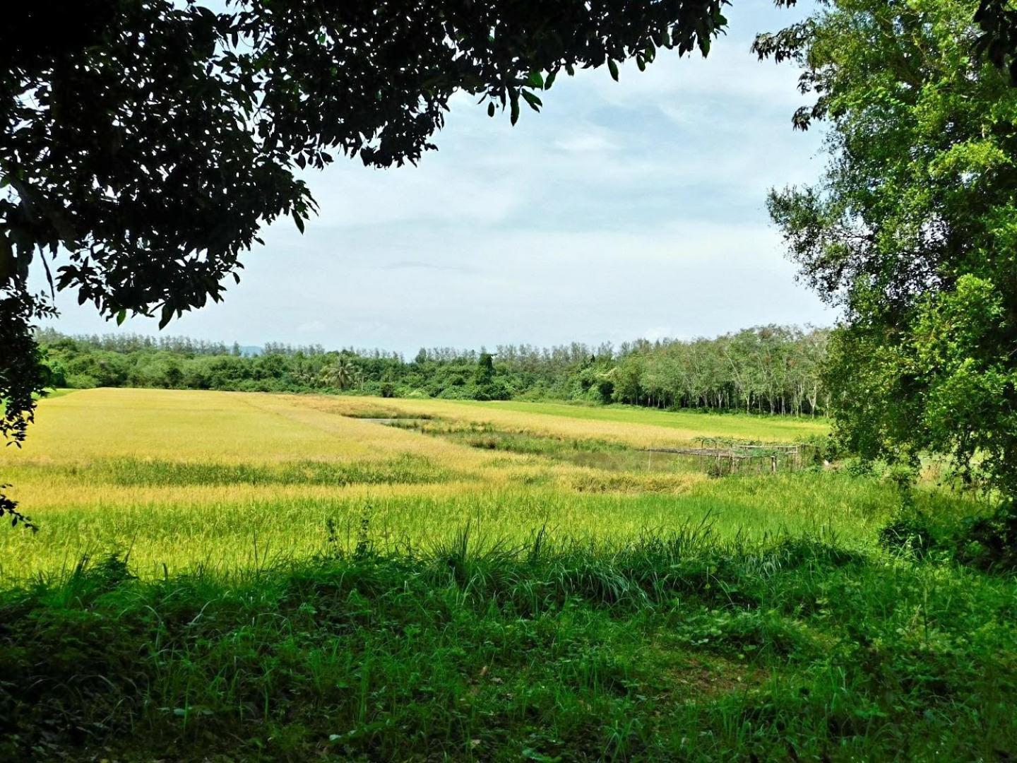 Swiss Bonihouse Koh Yao Yai Hotel Banprunaj Kültér fotó